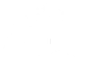 Stella Artois